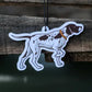 Scent South Air Car Fresheners