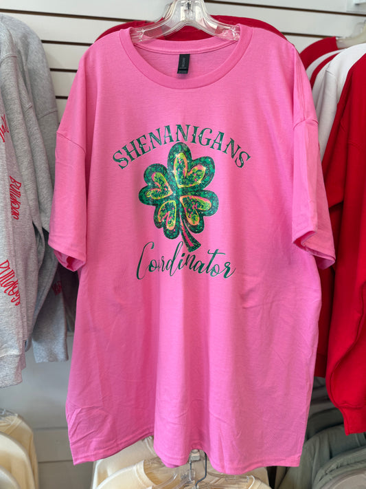 Shenanigan Coordinator Gildan Tee - 3xl