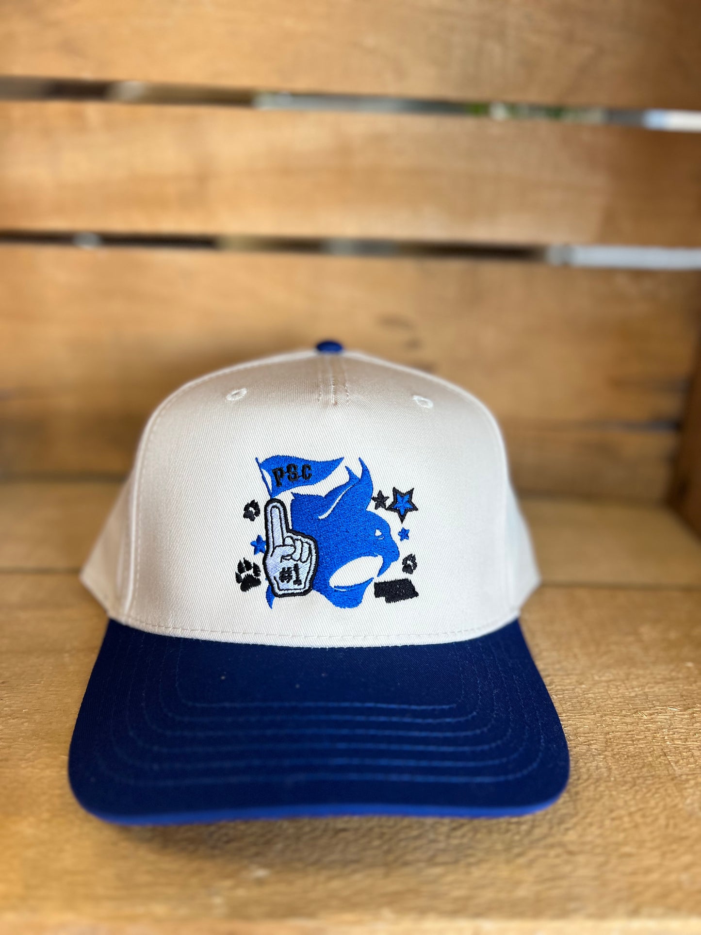 PSC Collage Hat