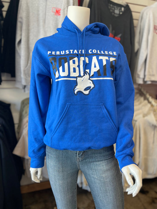PSC Slant Design Gildan Hoodie Youth