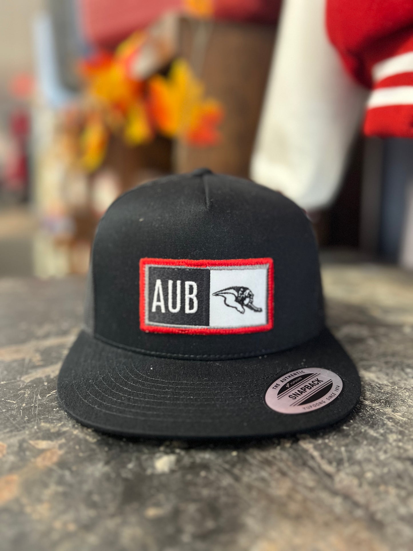 AUB Block patch Hat