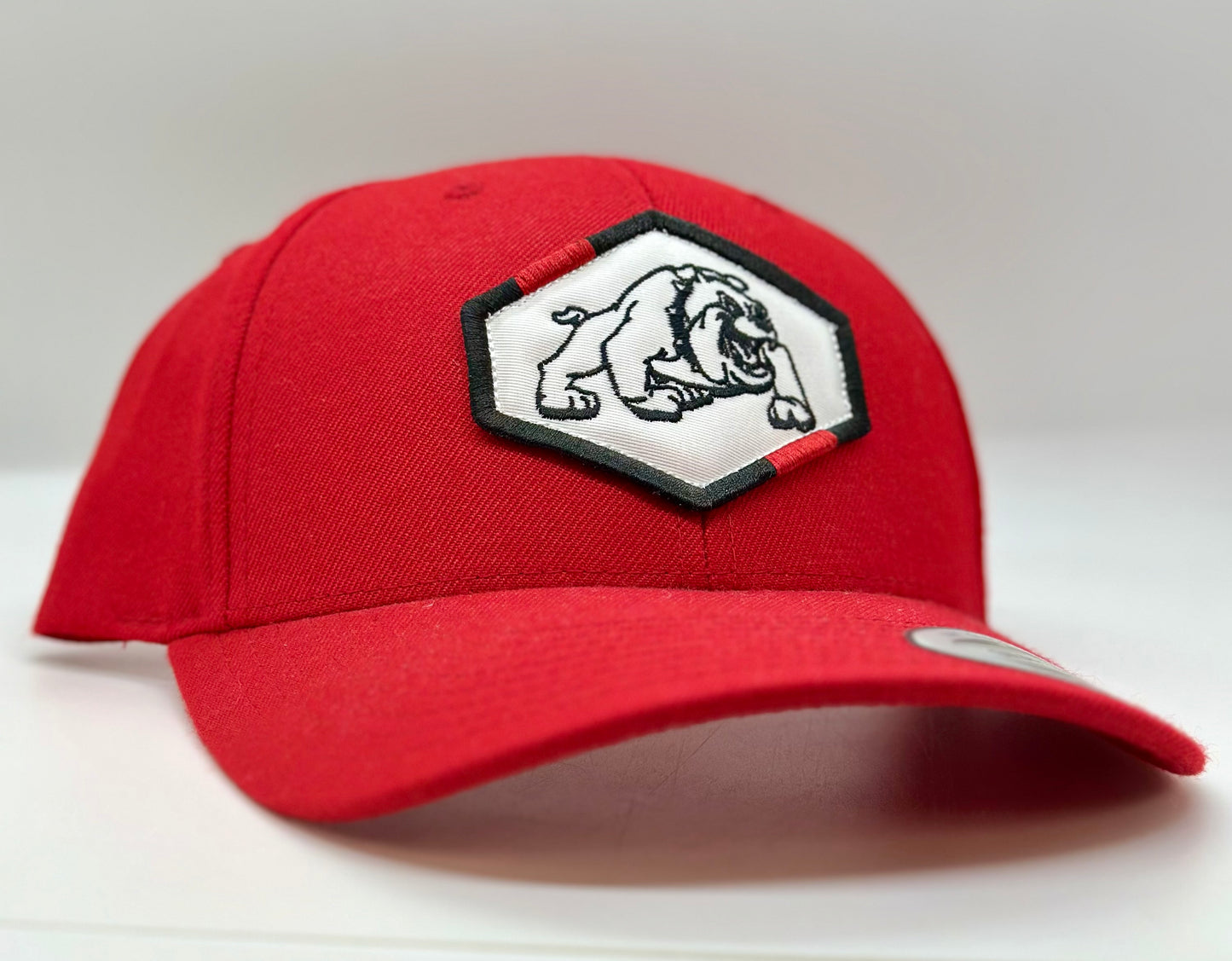 Auburn Bulldogs Octagon Patch Hat