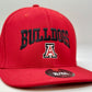 Bulldogs Arched Over A Fitted XL/2XL Under Armour Hat