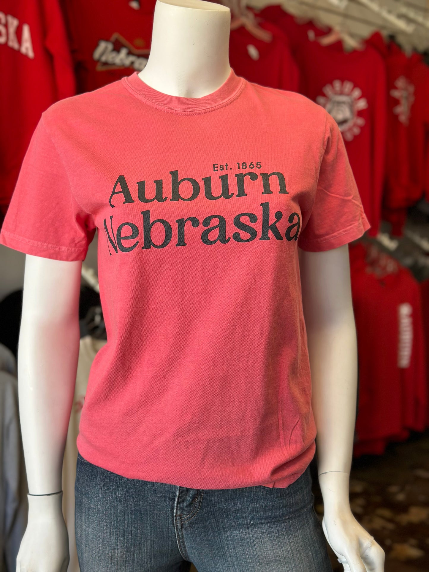 Auburn Nebraska - Comfort Colors Unisex Tee