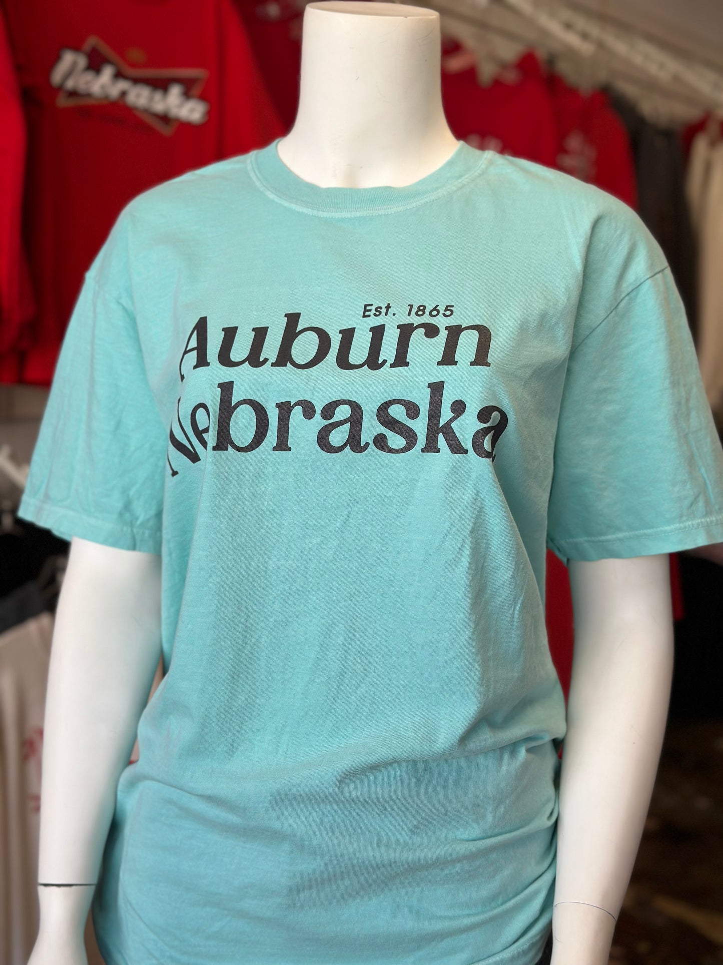 Auburn Nebraska - Comfort Colors Unisex Tee